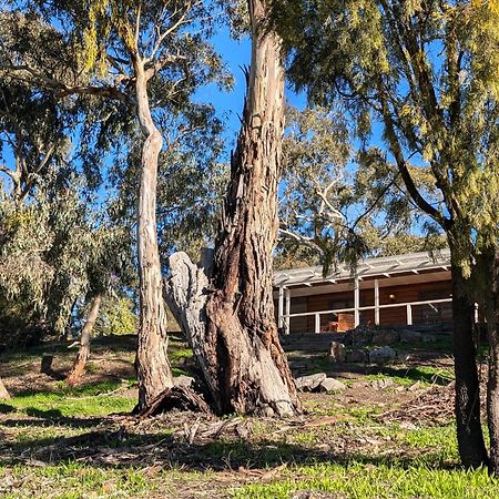 Skillogalee Estate Penwortham Dış mekan fotoğraf