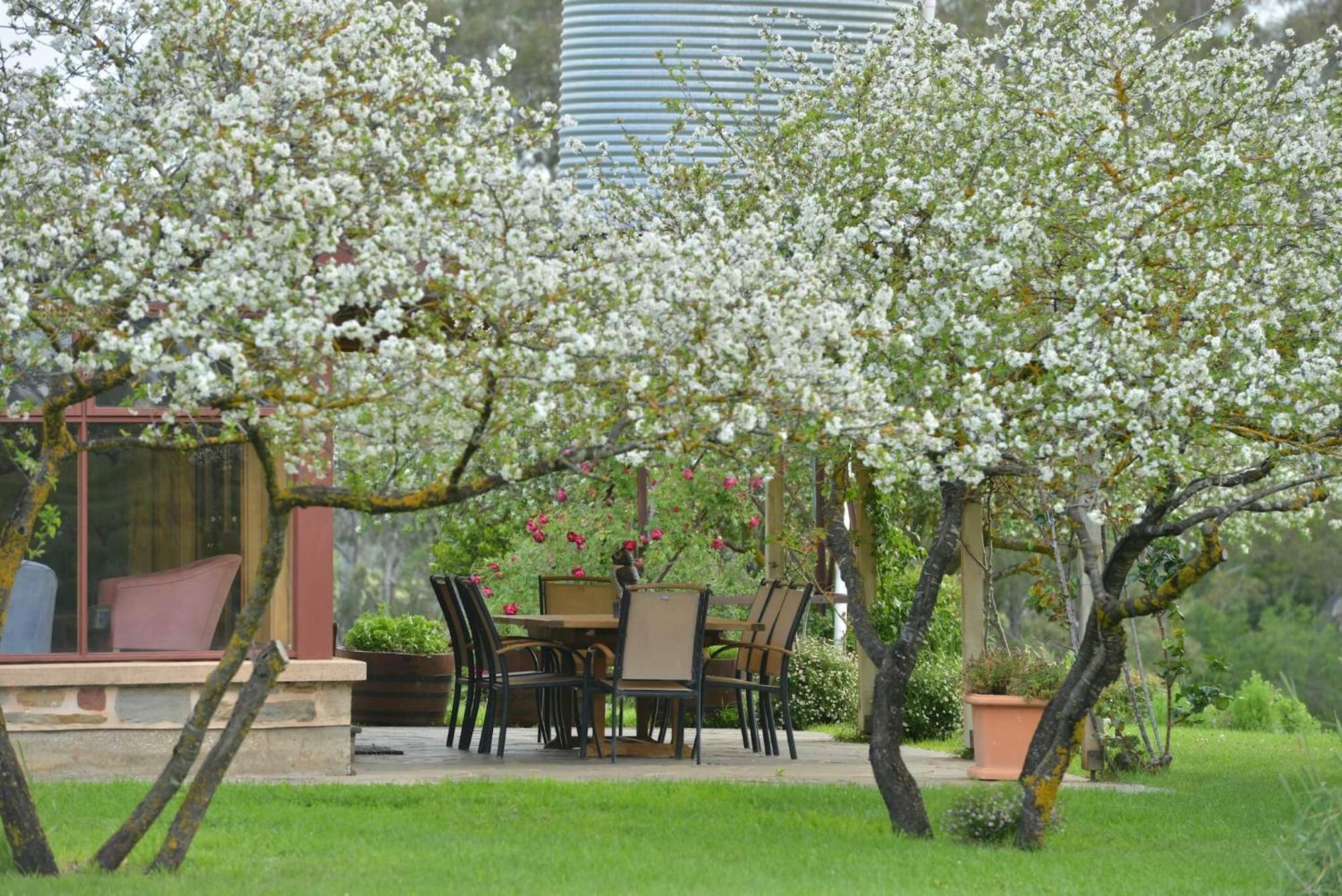 Skillogalee Estate Penwortham Dış mekan fotoğraf